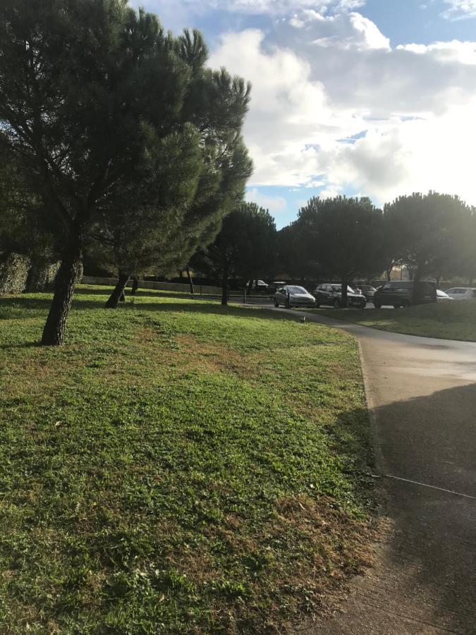 Appartement Entier T2 Avec Piscine Paradis Entierement Meuble Proche Metro Toulouse Luaran gambar